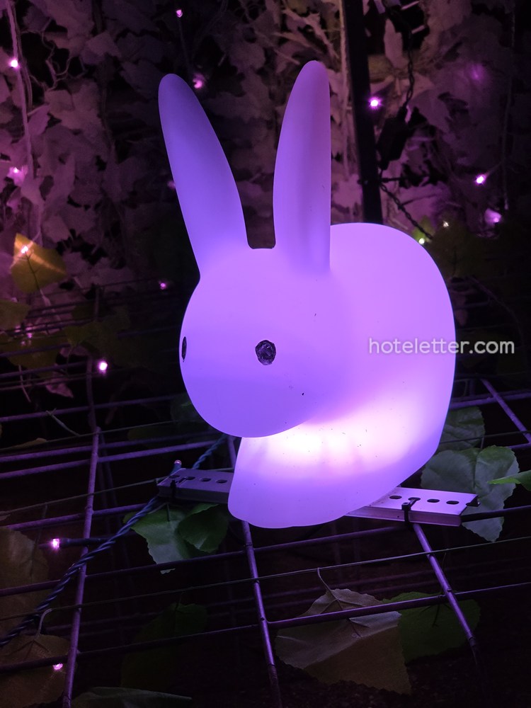 時の栖イルミネーション